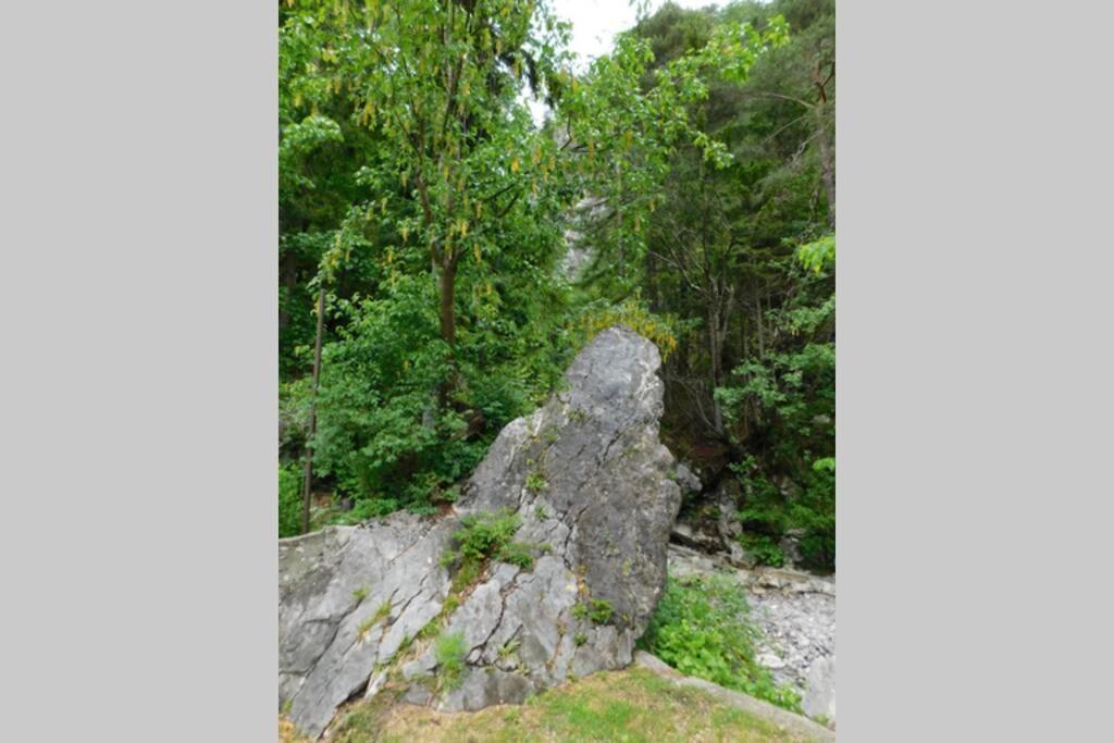 Rezidenca Mitja Vila Kranjska Gora Exterior foto